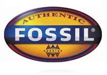 Authentic Fossil